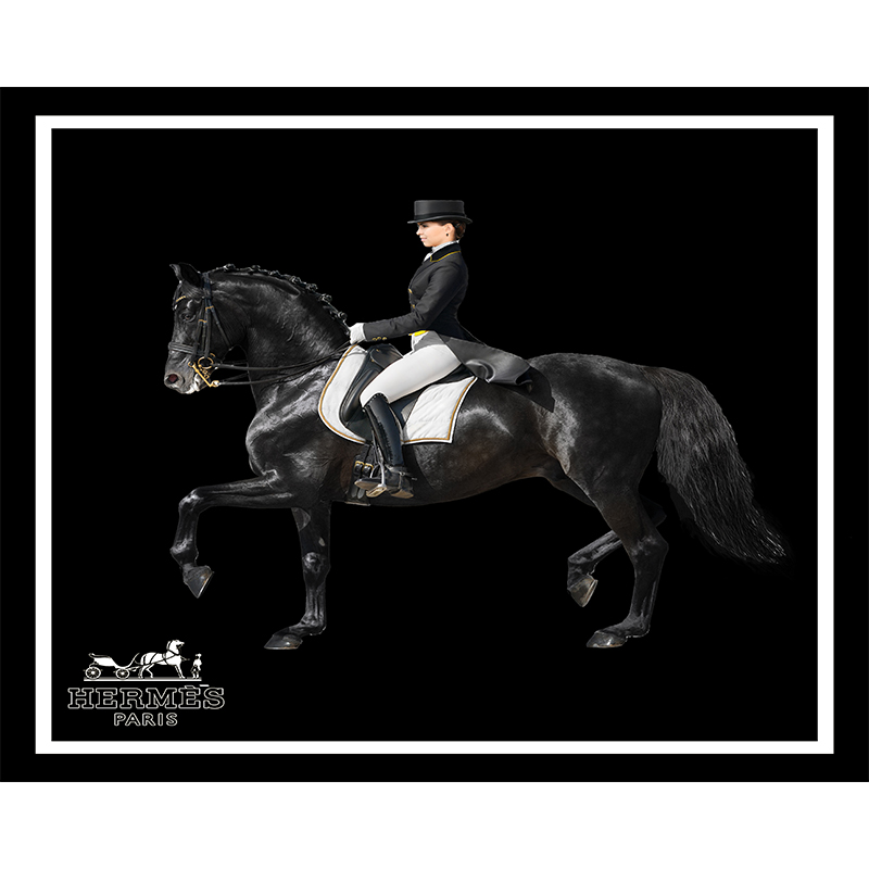 شال مبل چیست؟